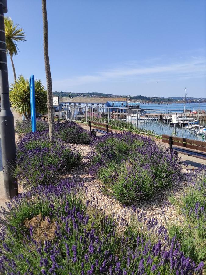 Cleve Court Hotel Paignton Exterior foto